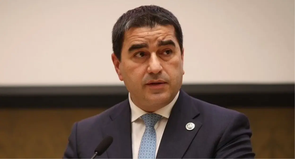 Gürcistan’da Muhalefet Eleştirisi