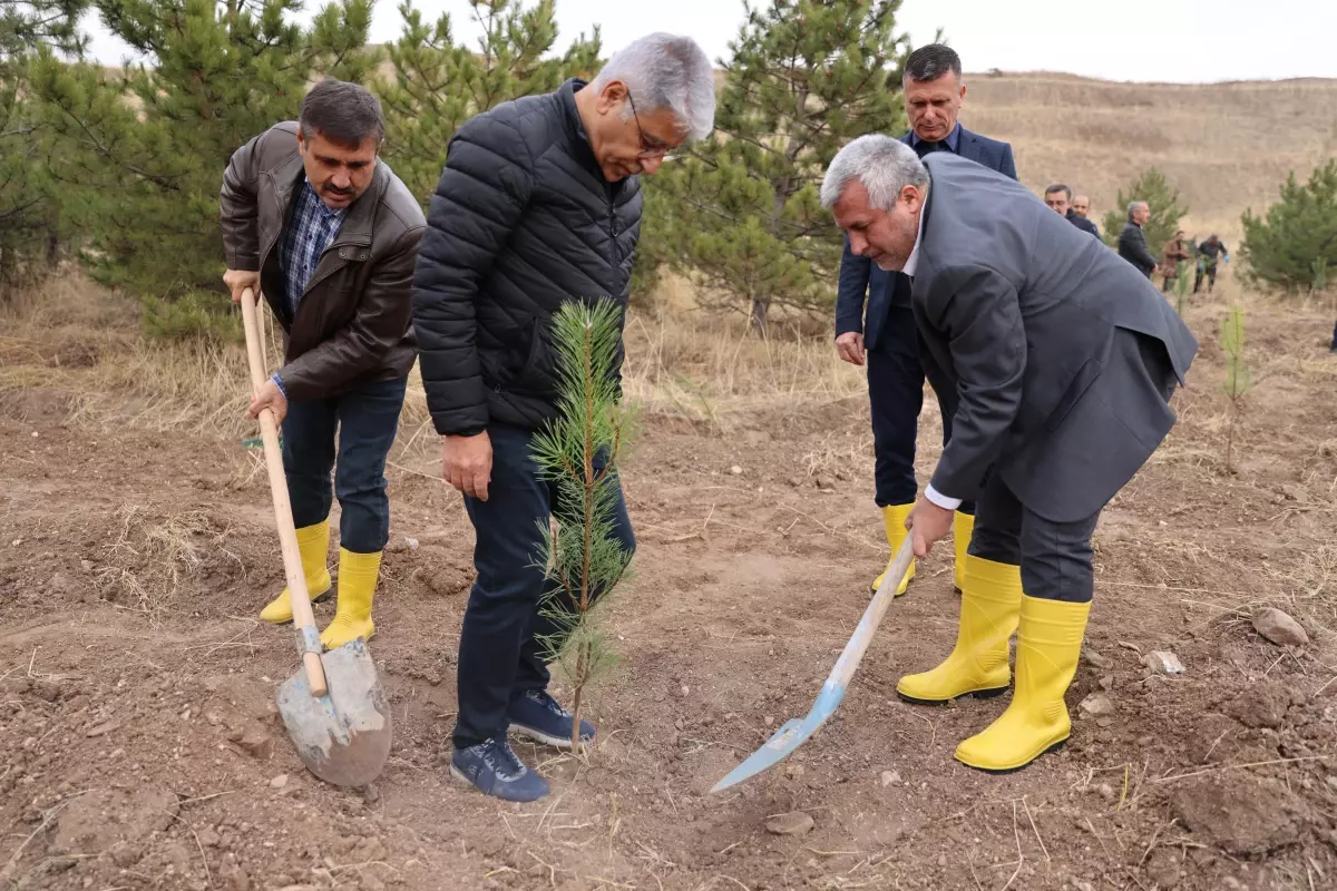 ÖSYM’den Yeşil Adım: 1500 Fidan Dikildi