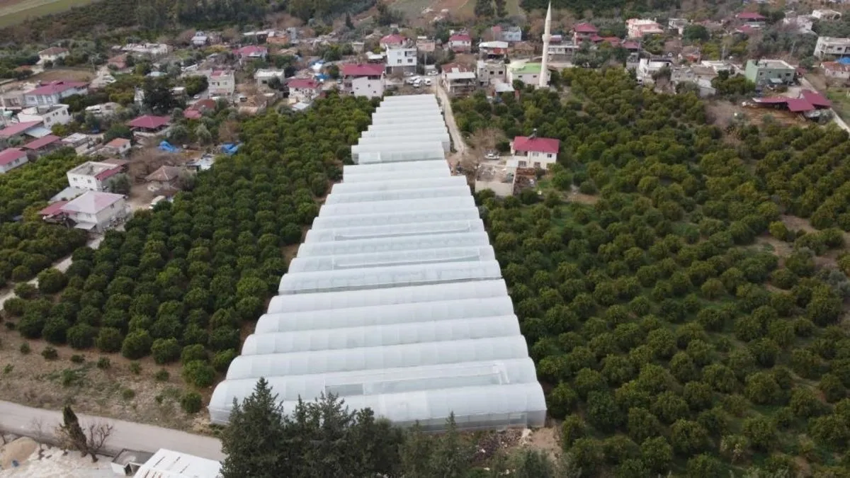 Adana’da 15 yıl önce babasından öğrendi şimdi para para demiyor! 400 metrekareden 30 dönüme ulaştı