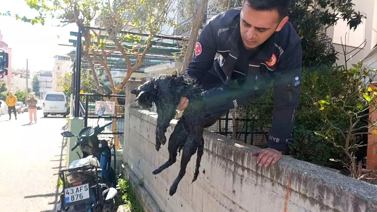 Antalya’da Apartman Yangını: Karı-koca ve Kediler Kurtarıldı