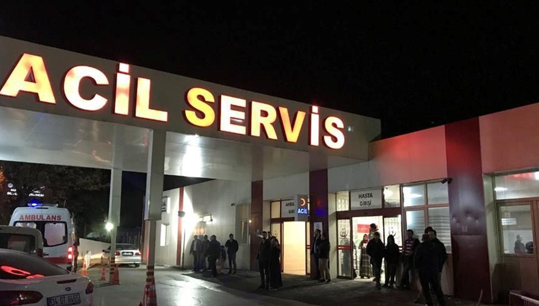 Sağlık Bakanlığı’ndan sahipsiz köpek adımı